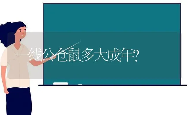 一线公仓鼠多大成年？ | 动物养殖问答