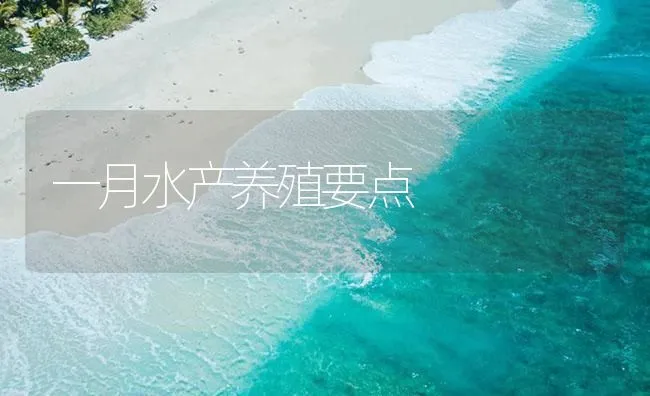 一月水产养殖要点 | 海水养殖技术