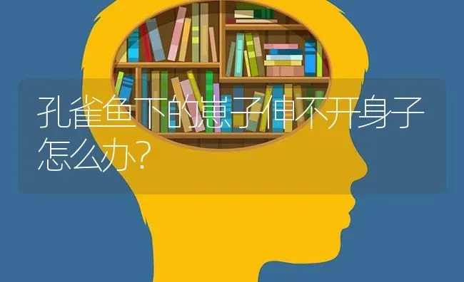 孔雀鱼下的崽子伸不开身子怎么办？ | 鱼类宠物饲养