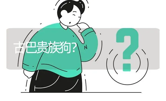 古巴贵族狗？ | 动物养殖问答