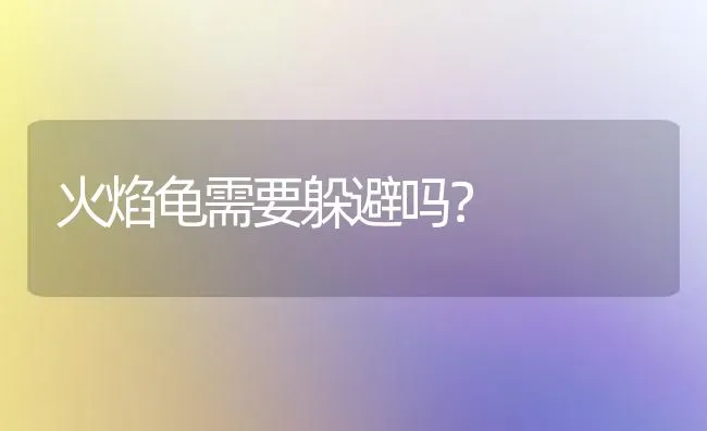 火焰龟需要躲避吗？ | 动物养殖问答