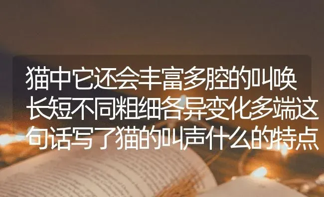 猫中它还会丰富多腔的叫唤长短不同粗细各异变化多端这句话写了猫的叫声什么的特点？ | 动物养殖问答