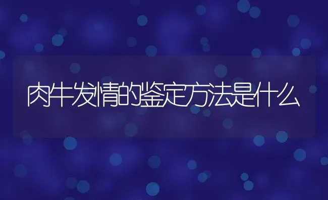 肉牛发情的鉴定方法是什么 | 动物养殖教程