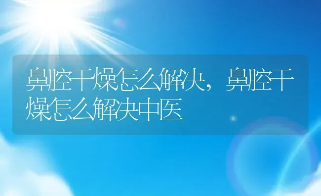 鼻腔干燥怎么解决,鼻腔干燥怎么解决中医 | 宠物百科知识