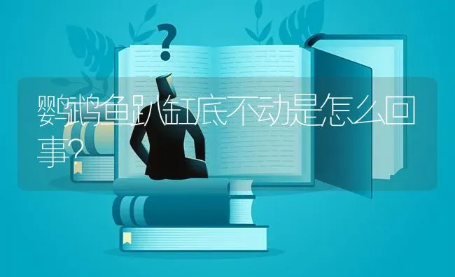 鹦鹉鱼趴缸底不动是怎么回事？ | 鱼类宠物饲养