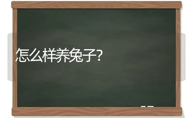 怎么样养兔子？ | 动物养殖问答