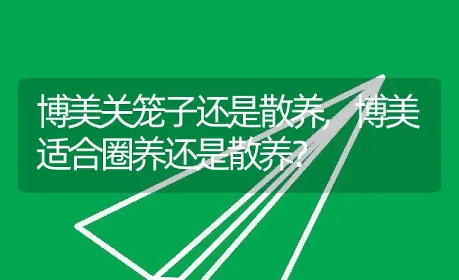 博美关笼子还是散养,博美适合圈养还是散养？ | 宠物百科知识