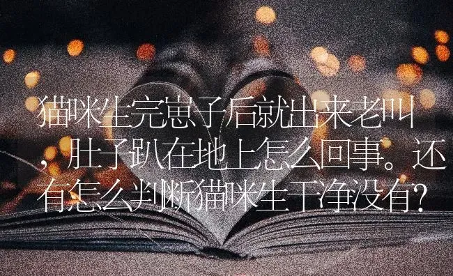 猫咪生完崽子后就出来老叫，肚子趴在地上怎么回事。还有怎么判断猫咪生干净没有？ | 动物养殖问答