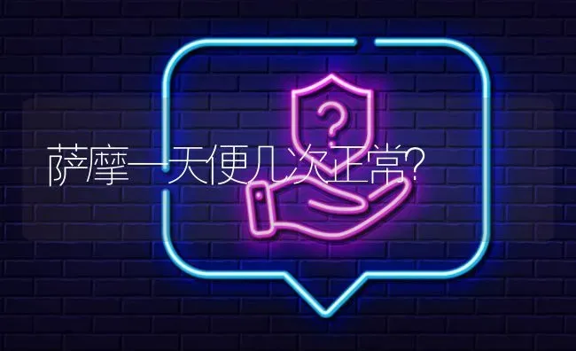 萨摩一天便几次正常？ | 动物养殖问答