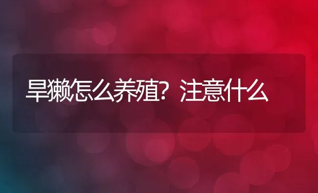 旱獭怎么养殖？注意什么 | 动物养殖教程