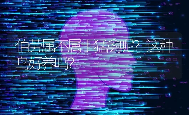 伯劳属不属于猛禽呢？这种鸟好养吗？ | 动物养殖问答