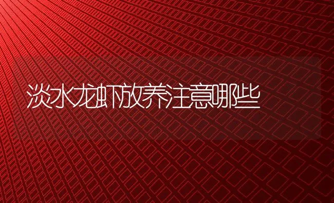 淡水龙虾放养注意哪些 | 动物养殖饲料