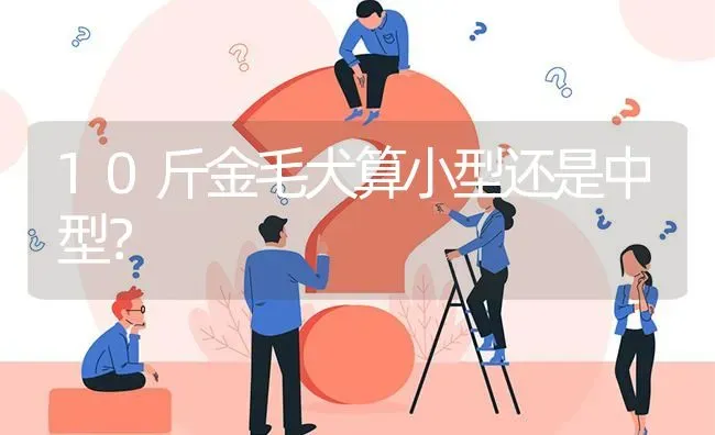 法斗的尾巴多长算正常？ | 动物养殖问答