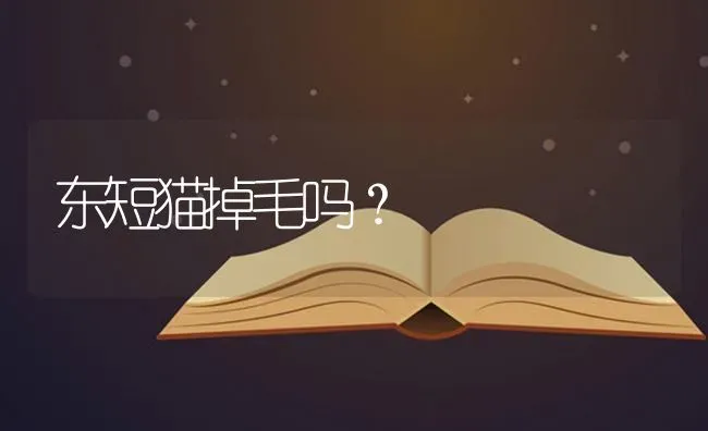 东短猫掉毛吗？ | 动物养殖问答