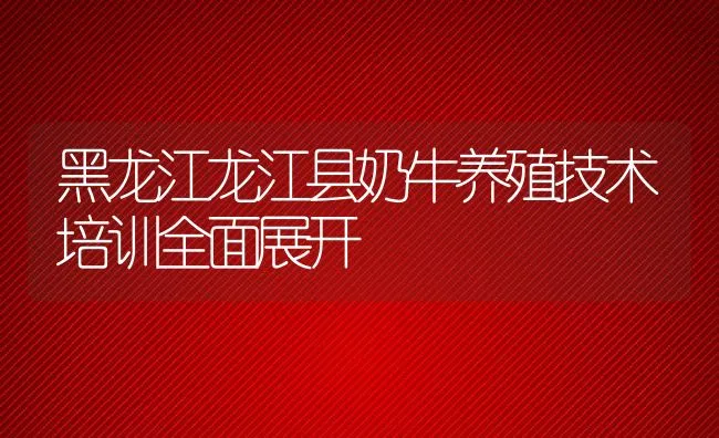 黑龙江龙江县奶牛养殖技术培训全面展开 | 动物养殖饲料