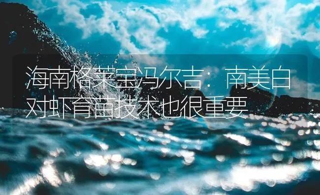 海南格莱宝冯尔吉：南美白对虾育苗技术也很重要 | 海水养殖技术