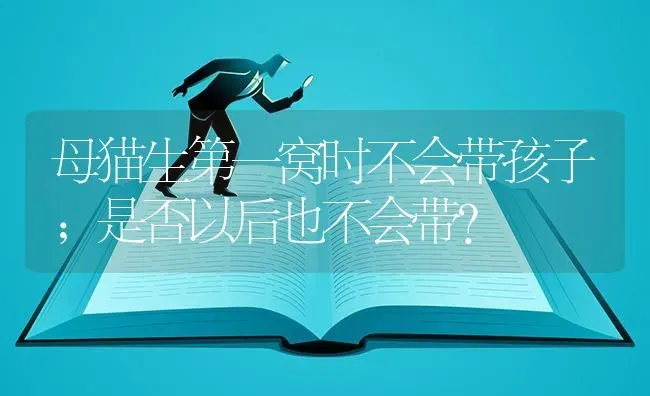 母猫生第一窝时不会带孩子;是否以后也不会带？ | 动物养殖问答