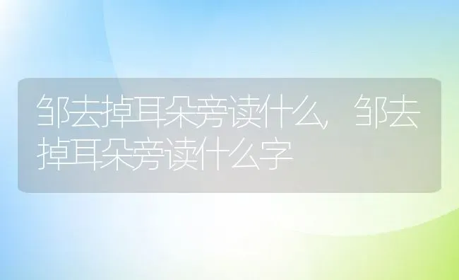 邹去掉耳朵旁读什么,邹去掉耳朵旁读什么字 | 宠物百科知识