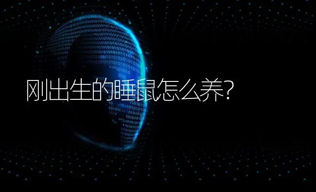 博美俊介比熊哪个更好？ | 动物养殖问答