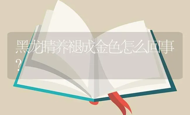 黑龙睛养褪成金色怎么回事？ | 鱼类宠物饲养