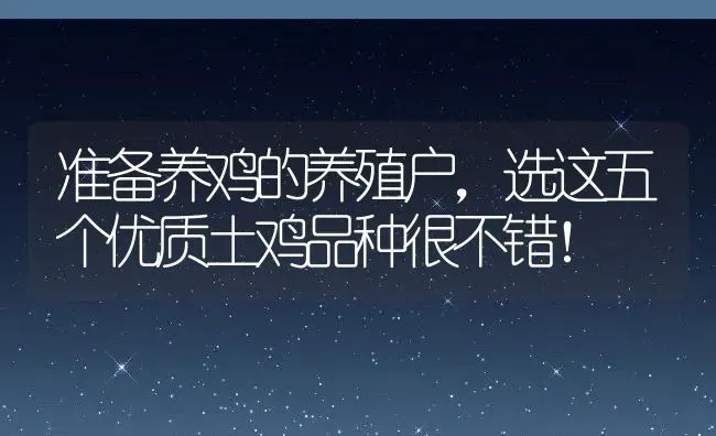 准备养鸡的养殖户，选这五个优质土鸡品种很不错！ | 动物养殖百科