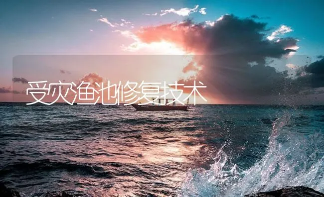 受灾渔池修复技术 | 海水养殖技术