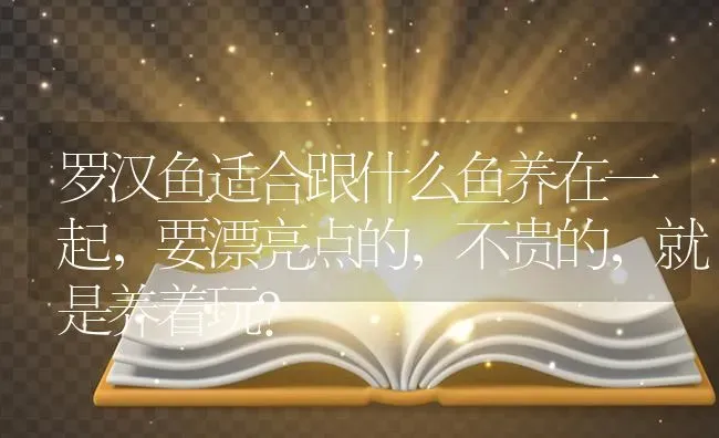 罗汉鱼适合跟什么鱼养在一起，要漂亮点的，不贵的，就是养着玩？ | 鱼类宠物饲养