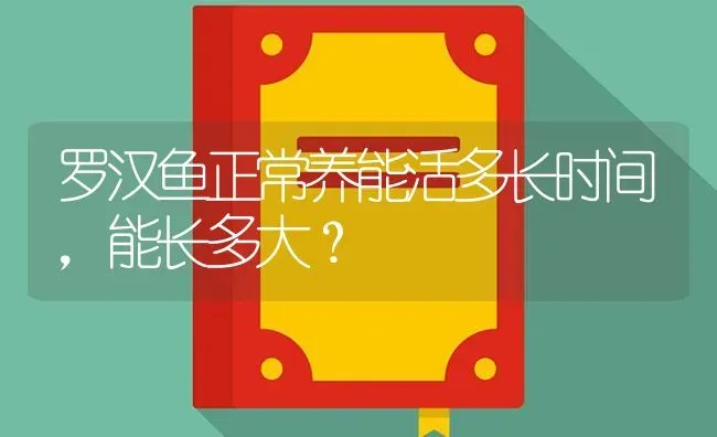 罗汉鱼正常养能活多长时间，能长多大？ | 鱼类宠物饲养