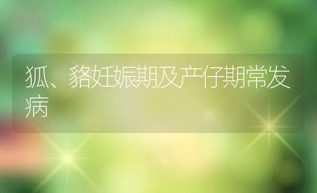 狐、貉妊娠期及产仔期常发病 | 水产养殖知识