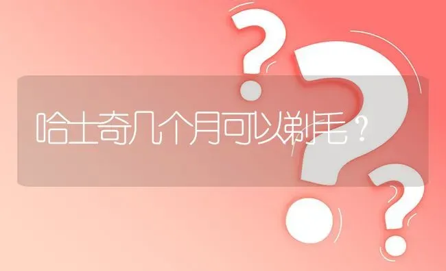 哈士奇几个月可以剃毛？ | 动物养殖问答