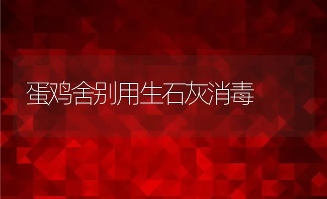 耕牛春繁春养技术要点 | 动物养殖饲料