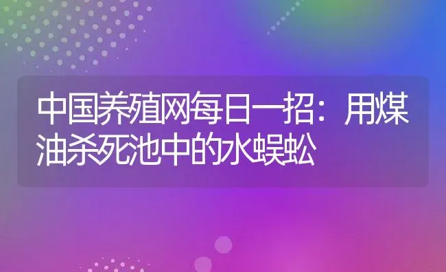 中国养殖网每日一招：用煤油杀死池中的水蜈蚣 | 动物养殖百科