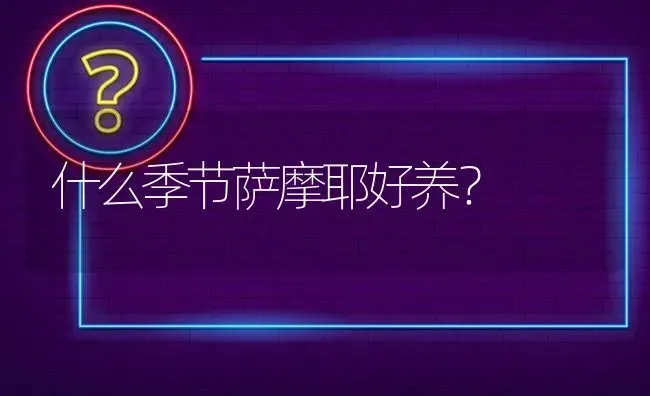 什么季节萨摩耶好养？ | 动物养殖问答