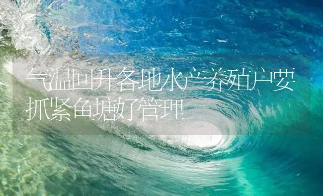 气温回升各地水产养殖户要抓紧鱼塘好管理 | 海水养殖技术