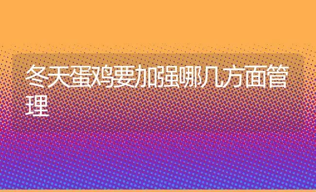 夏季养殖乌龟的注意事项 | 动物养殖学堂