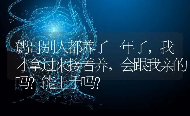 鹩哥别人都养了一年了，我才拿过来接着养，会跟我亲的吗？能上手吗？ | 动物养殖问答