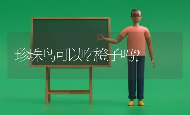 珍珠鸟可以吃橙子吗？ | 动物养殖问答