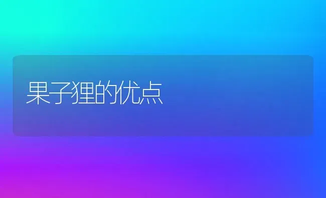 果子狸的优点 | 动物养殖教程