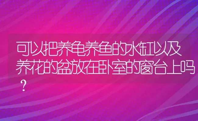 可以把养龟养鱼的水缸以及养花的盆放在卧室的窗台上吗？ | 动物养殖问答