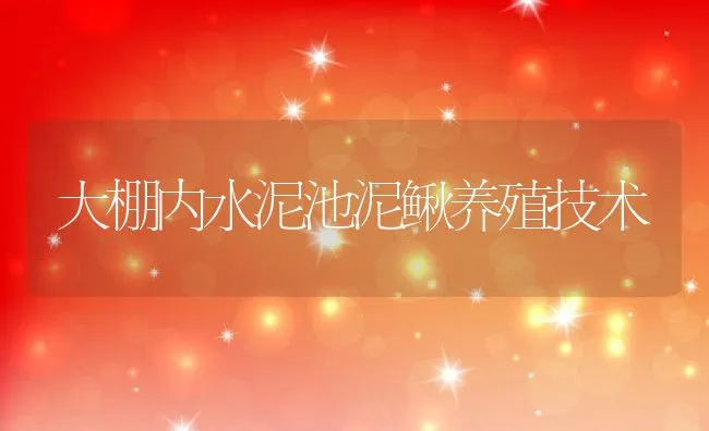 大棚内水泥池泥鳅养殖技术 | 水产养殖知识