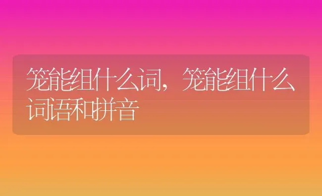 笼能组什么词,笼能组什么词语和拼音 | 宠物百科知识