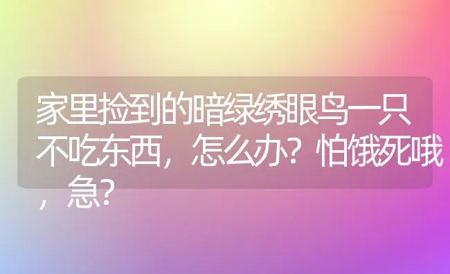 家里捡到的暗绿绣眼鸟一只不吃东西，怎么办？怕饿死哦，急？ | 动物养殖问答