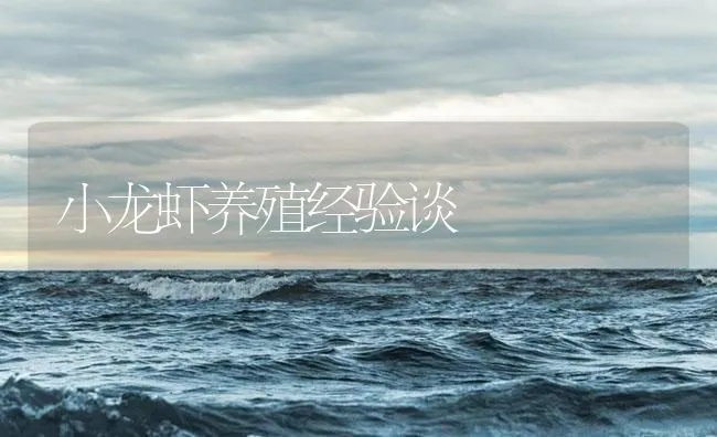 小龙虾养殖经验谈 | 海水养殖技术