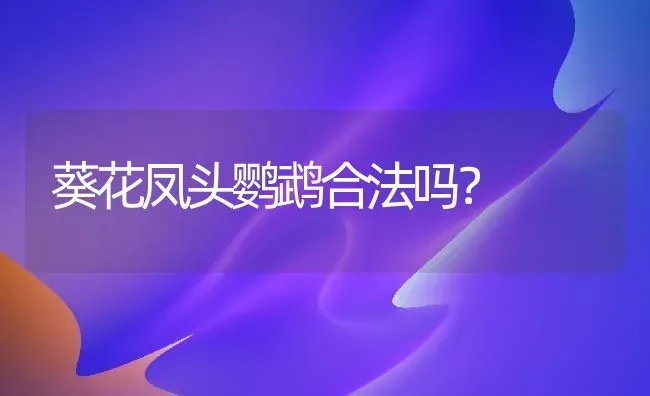 葵花凤头鹦鹉合法吗？ | 动物养殖问答