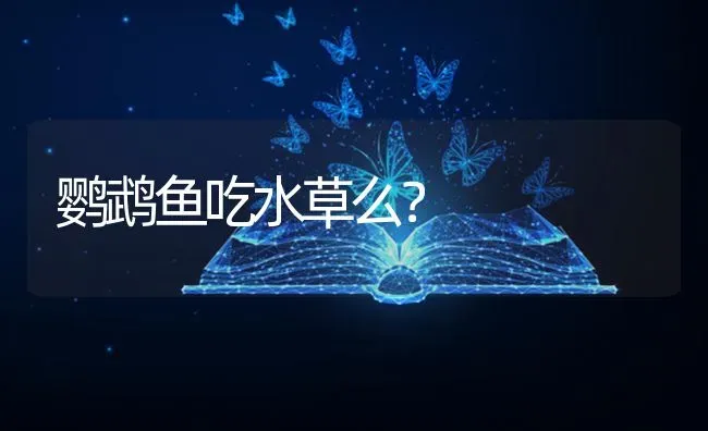 鹦鹉鱼吃水草么？ | 鱼类宠物饲养