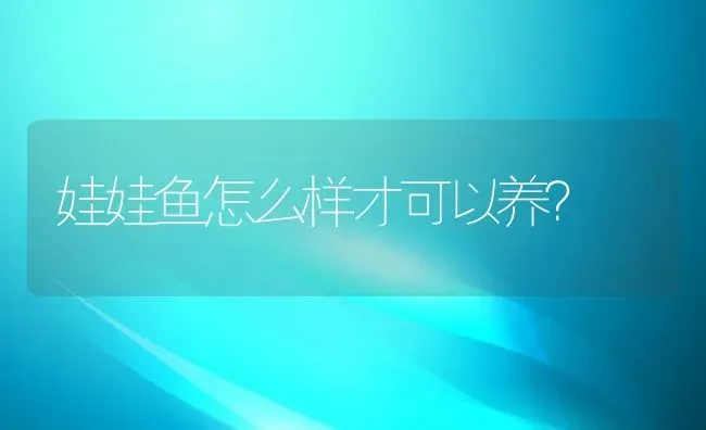 娃娃鱼怎么样才可以养？ | 动物养殖百科