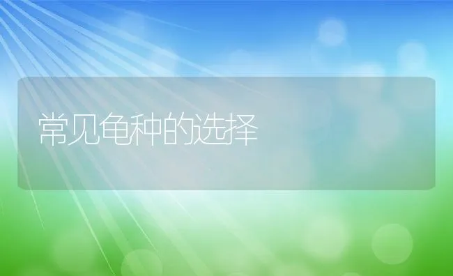 奶牛真胃移位的预防 | 动物养殖学堂