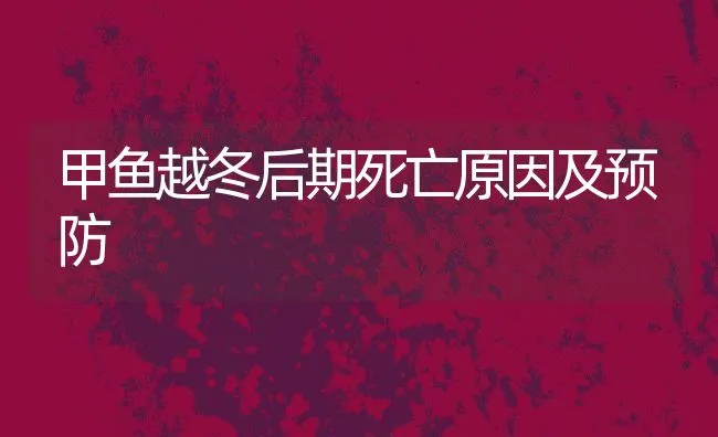 甲鱼越冬后期死亡原因及预防 | 水产养殖知识