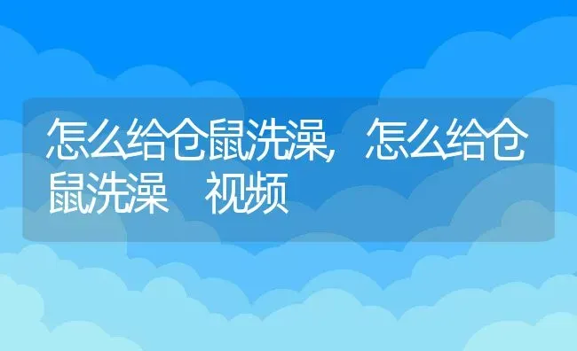 怎么给仓鼠洗澡,怎么给仓鼠洗澡 视频 | 宠物百科知识