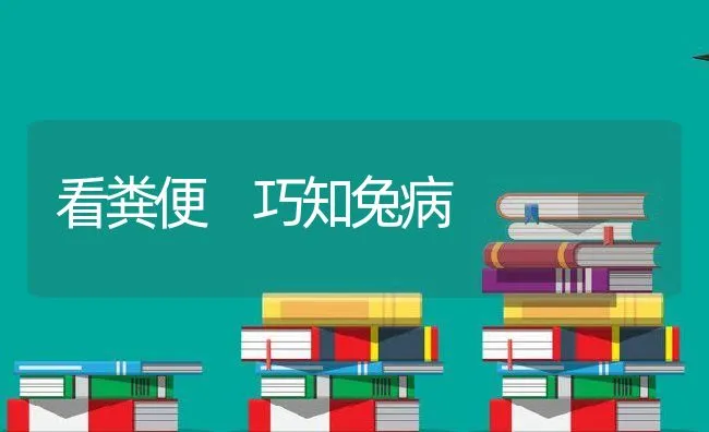 看粪便 巧知兔病 | 动物养殖学堂